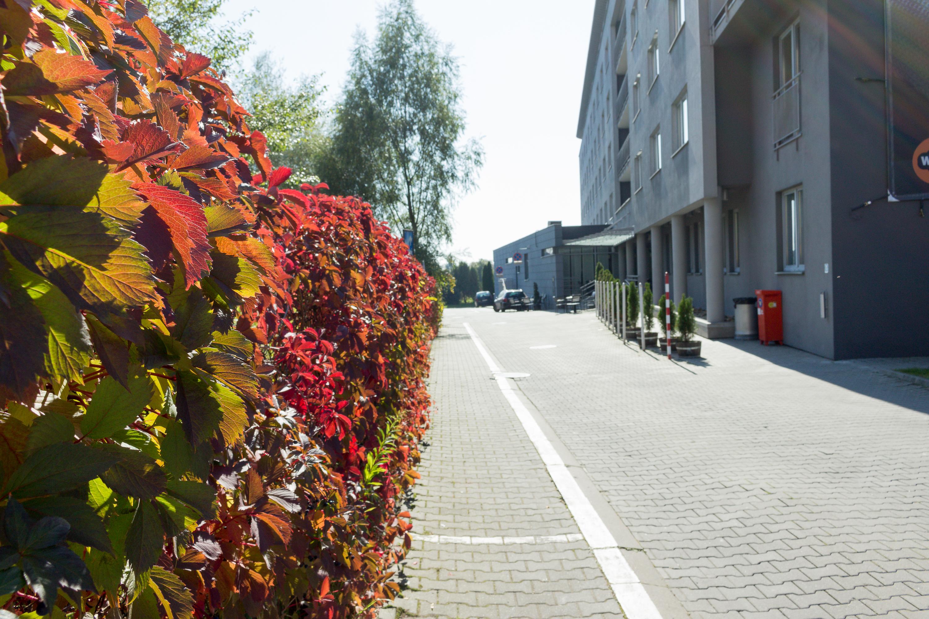 Wm Hotel System Sp. Z O.O. Krasków Eksteriør bilde